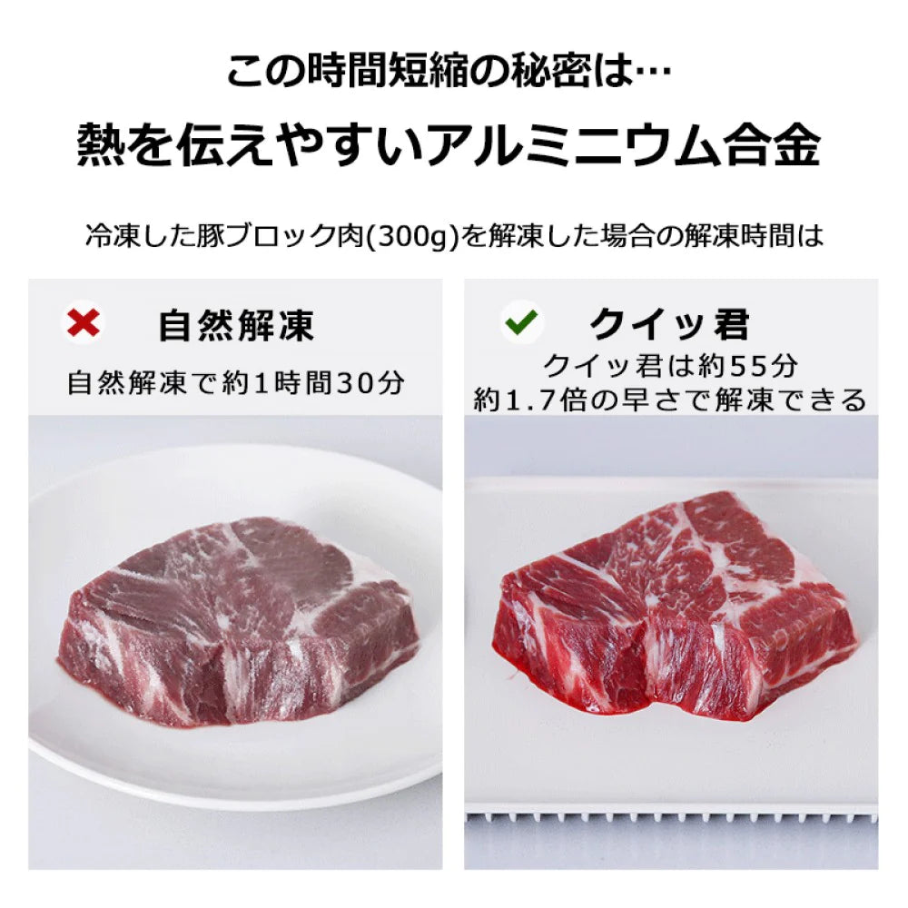 杉本金属 食物快速解凍盤