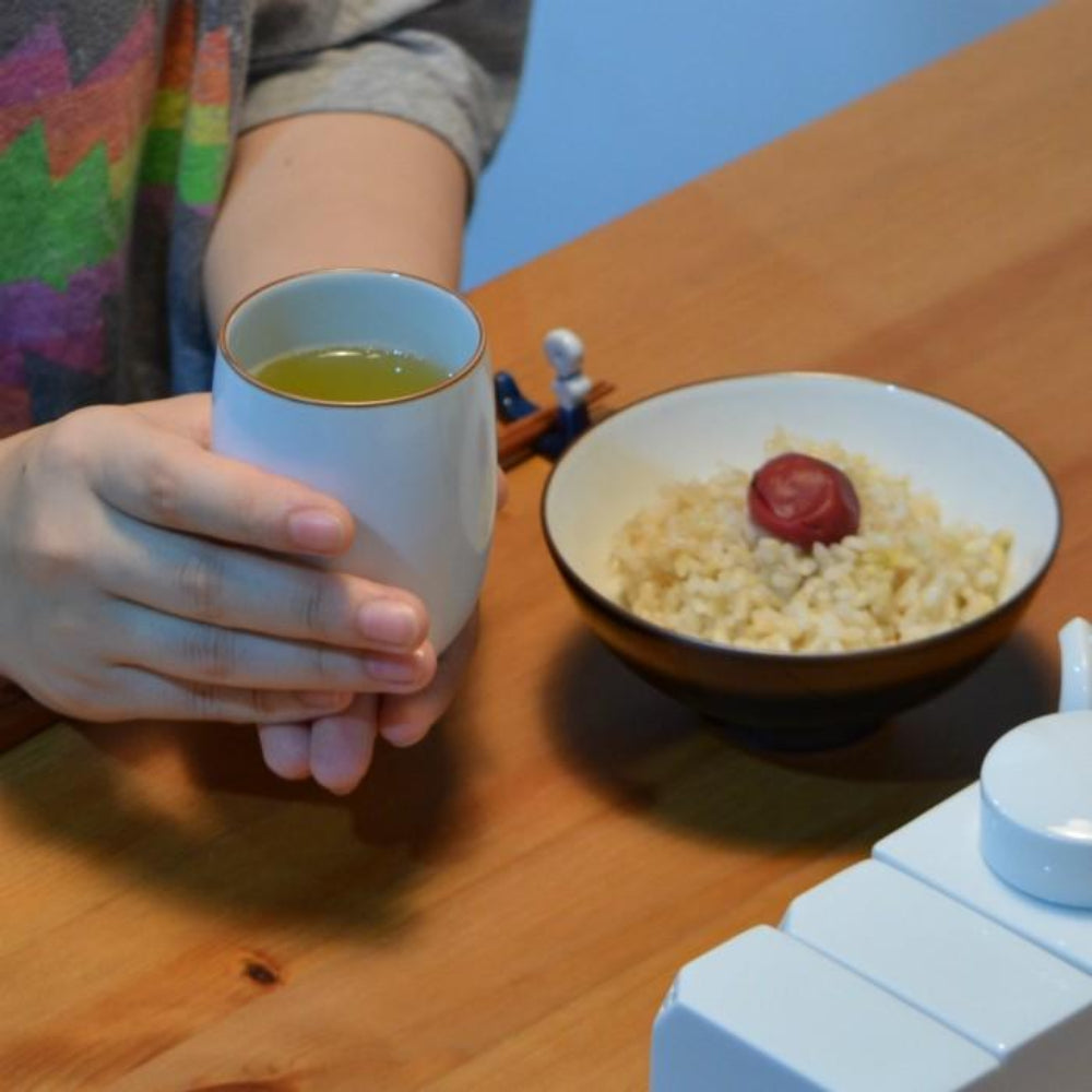 波佐見燒 簡約茶杯
