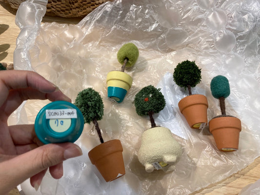 羊毛植物（小）