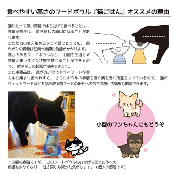 環保貓隻餵食碗 (S)
